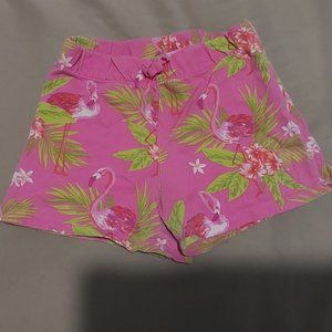 Tropical Flamingo Summer Shorts